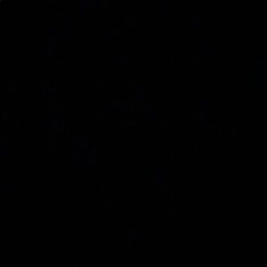 Meet your Posher, Jazzy